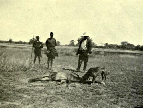 George Thomas Hutchinson