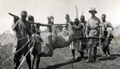 Georges-Marie Haardt