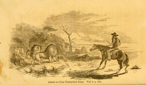 Roualeyn Gordon-Cumming