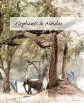 Elephants & Albidas