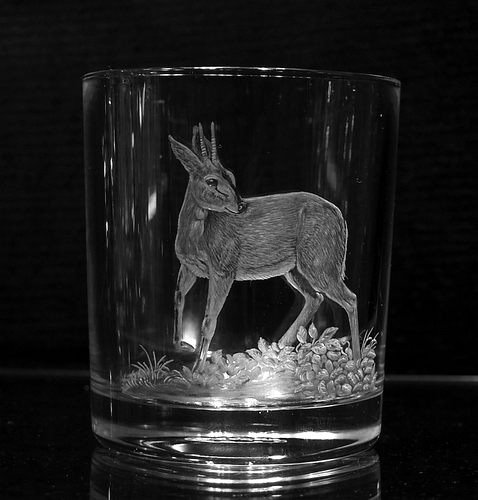 Crystal Glass Tumbler