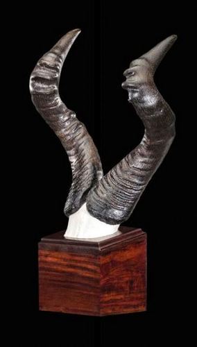 Hartebeest Skull Block