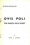 Ovis Poli: The Marco Polo Sheep