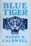 Blue Tiger