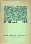 Adaptive Coloration In Animals