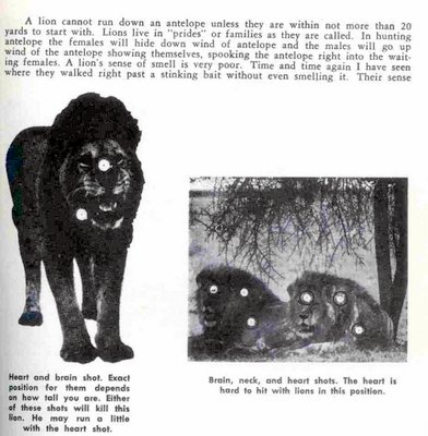 George Herter's Lion Shot Placement