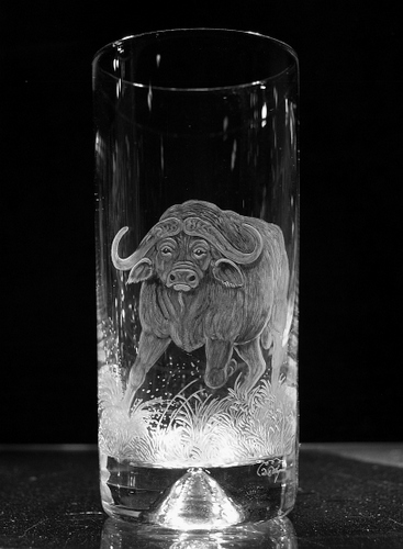 Highball Glass with Buffalo