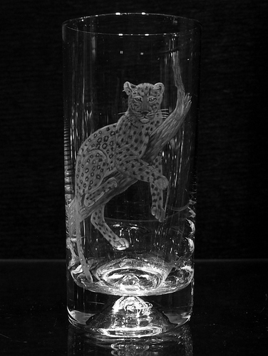 Highball Glass with Leopard