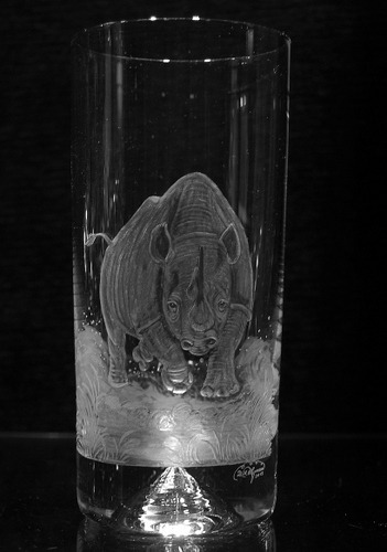 Highball Glass with Rhino