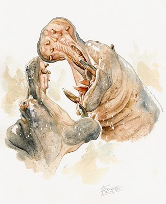 Hippo Watercolor 5