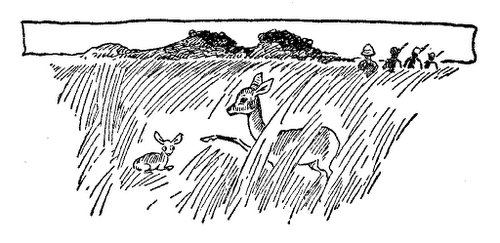 Hunting In Long Grass