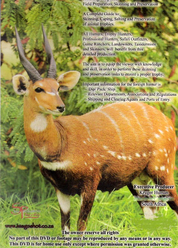 Hunting Trophies DVD