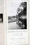 Glimpses Of The Wild