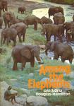 Among The Elephants