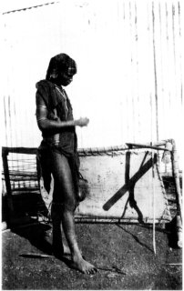 Photograph: An Embo Apollo