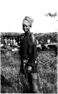 Photograph: The Totos Are Not Fastidious