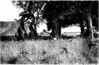 Photograph: Lion Camp