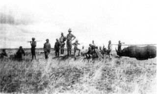 Photograph: The Dummy Rhino