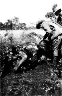 Photograph: Kermit and Mr. Stephenson Diagnosing the Case