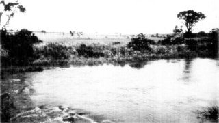 Photograph: Along the Nzoia River