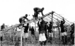 Photograph: Building a Grass House