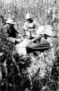 Photograph: Where We Had Our Thanksgiving Day Lunch