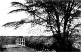 Photograph: Where the Equator Crosses the Molo