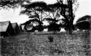 Photograph: Our Camp Down on the Tana