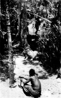 Photograph: At the Edge of the Athi River