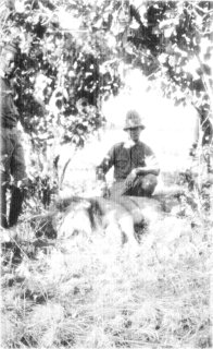 Photograph: Mr. Stephenson's Lion