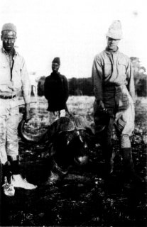 Photograph: Mr. Stephenson's Splendid Buffalo