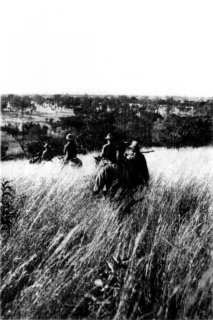 Photograph: Kermit Led the Way to the Elephant Camp