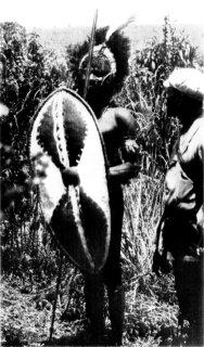 Photograph: A Nandi Spearman