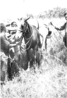 Photograph: A Museum Specimen Must Be Preserved Entire