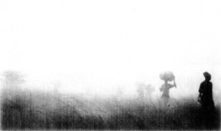 Photograph: By courtesy of W.D. Boyce A Grass Fire