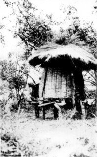 Photograph: A Native Granary