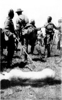 Photograph: By courtesy of W.D. Boyce. A Dead Lion Is a Sign for Jubilation Photograph: By courtesy of W.D. Boyce. A Dead Lion Is a Sign for Jubilation