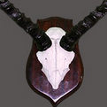Impala Skull Mount