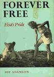 Forever Free: Elsa's Pride