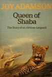 Queen Of Shaba: The Story Of An African Leopard