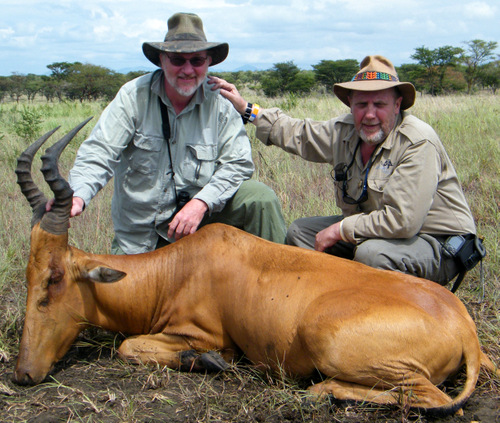 Jackson's Hartebeest Jackson's Hartebeest