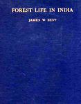 Forest Life In India Forest Life In India