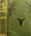 The Large And Small Game In Bengal