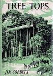 Tree Tops
