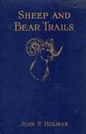Sheep And Bear Trails