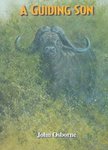 A Guiding Son