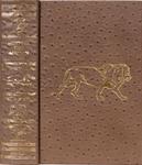 Hunting The African Lion