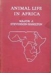 Animal Life In Africa