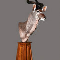 Greater Kudu Pedestal Mount