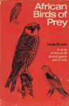 African Birds Of Prey